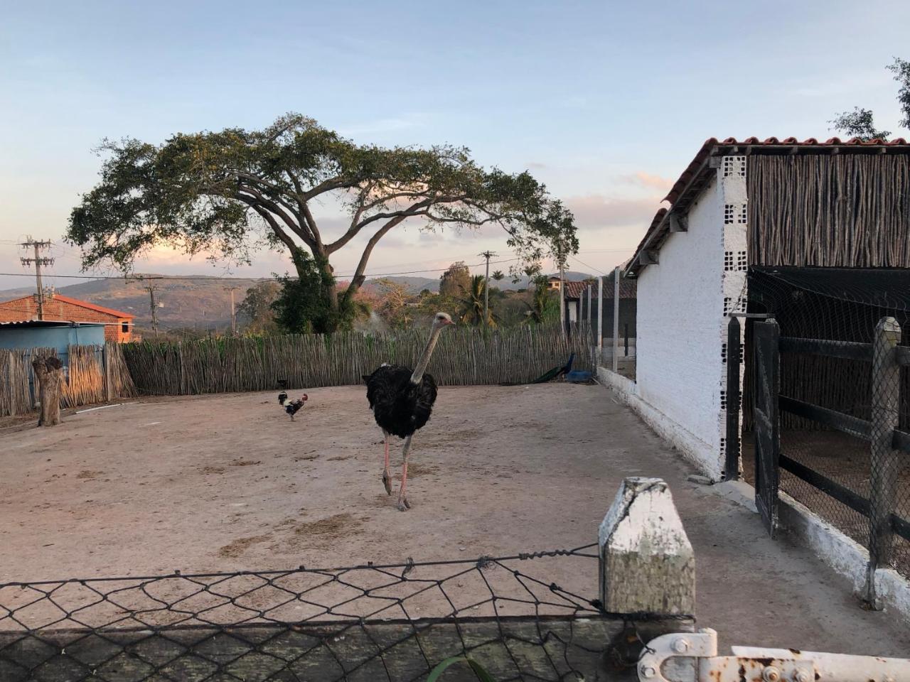 Flat 301 Condominio Villa Hipica - Gravata, Pe エクステリア 写真