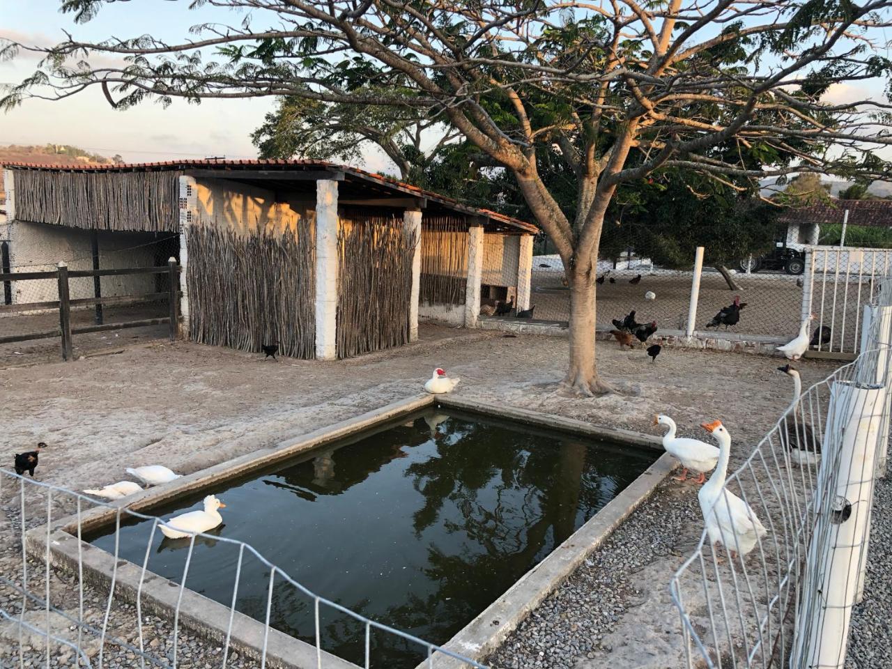 Flat 301 Condominio Villa Hipica - Gravata, Pe エクステリア 写真