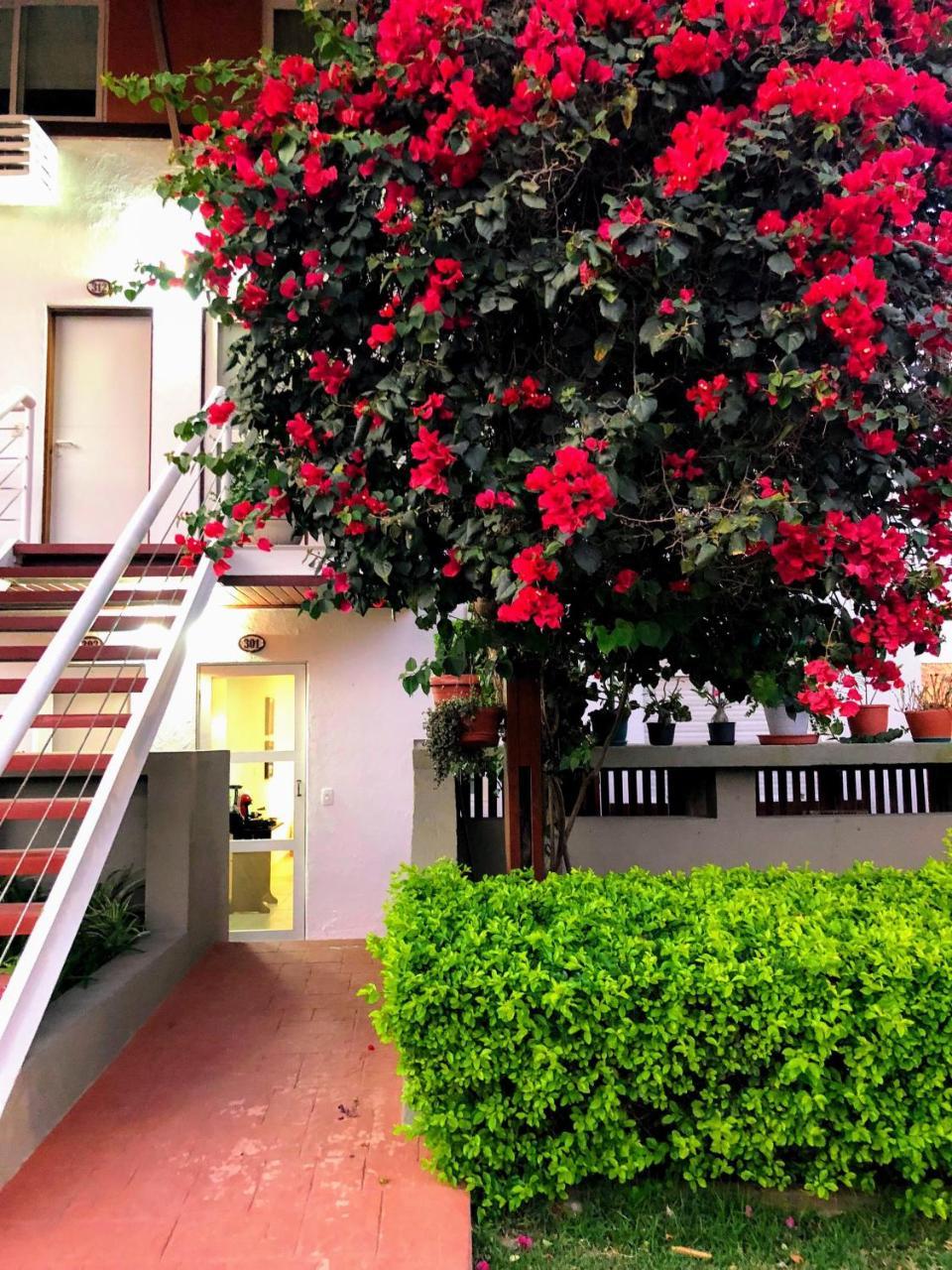 Flat 301 Condominio Villa Hipica - Gravata, Pe エクステリア 写真